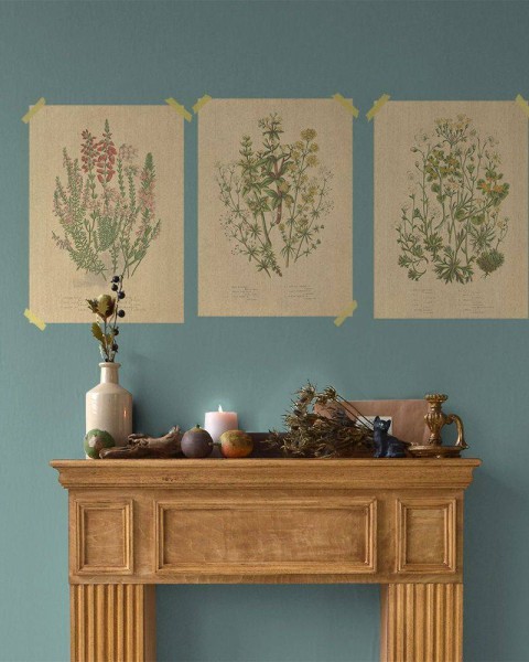 Flax Art Poster | Encyclopedia Wildflower B | FWP-AP-EN1B